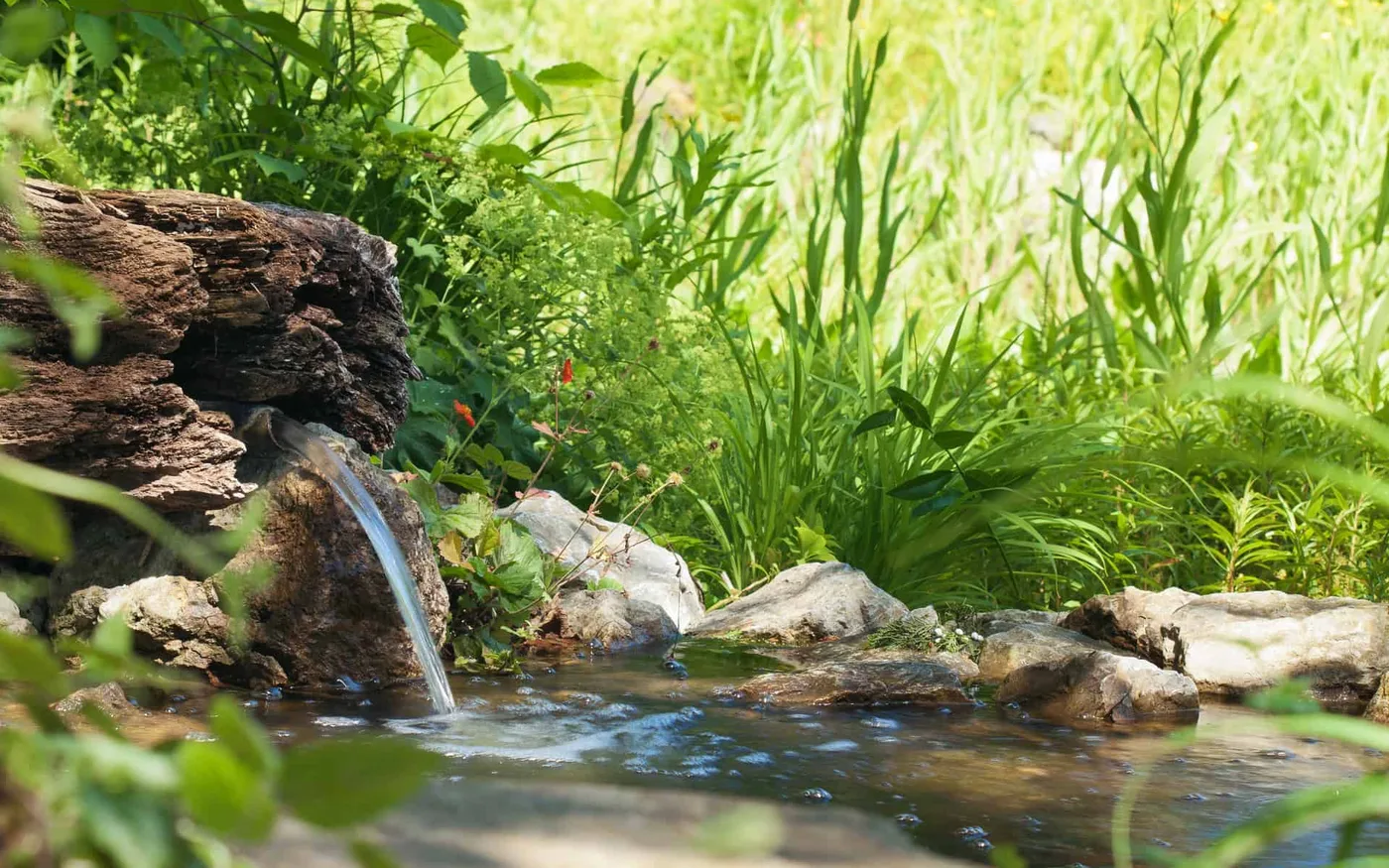 Motiv 2 aus dem Auftritt von GEspringWAsser Schmalkalden