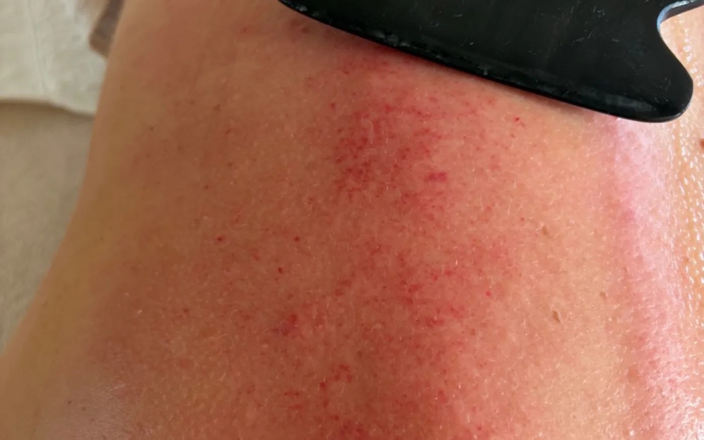 Motiv 3 aus dem Auftritt von Naturheilpraxis Sabine Koch, Erfurt
