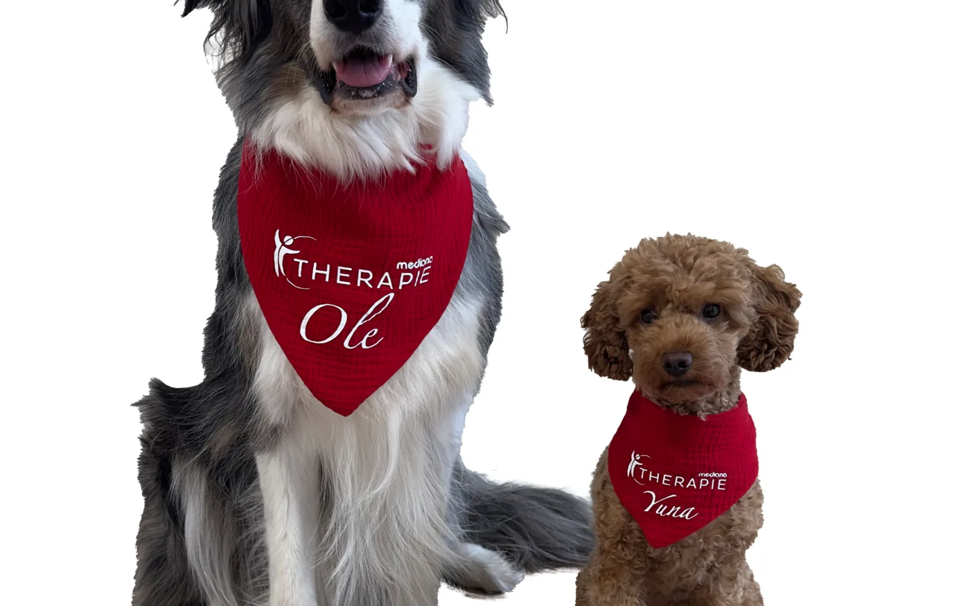 Motiv 1 aus dem Auftritt von Mediana Therapie, Fulda & Hünfeld
